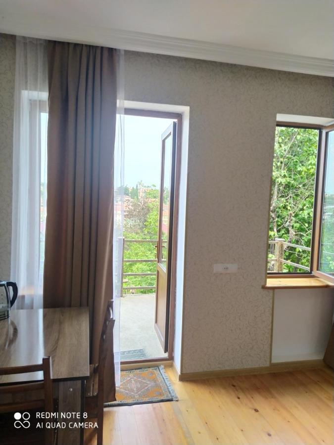 Guest House David シグナギ エクステリア 写真